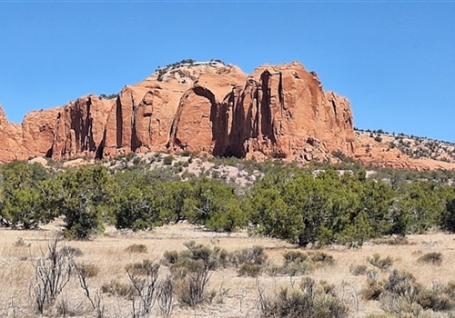 Castle Rock - Dlǫ́ǫ́’ Yázhí Prairie Dog Thoreau NM