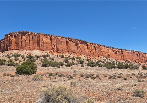 Bidahozhoon Beautiful Place Dlǫ́ǫ́’ Yázhí Prairie Dog Thoreau NM